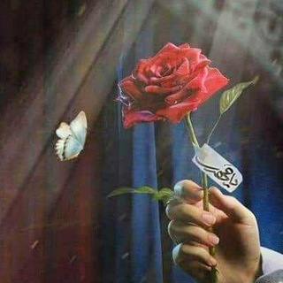 Telegram profile photo for من أجل إمام الزمـان 💚