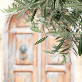 Telegram profile photo for روح وريحان لبث المحاضرات