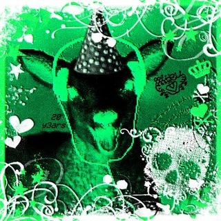 Telegram profile photo for жн3ų-core >w<