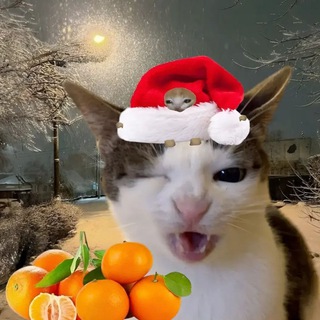 Telegram profile photo for crunchy luna&hoseobi(archive)