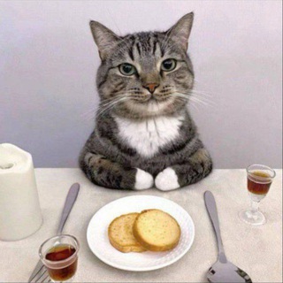 Telegram profile photo for мц анальная реклама