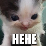 Telegram profile photo for hehe or not hehe that is the question