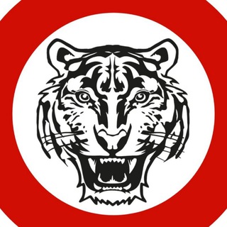 Telegram profile photo for TIGRIS | клуб единоборств |
