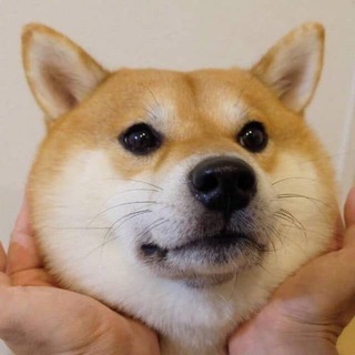 Telegram profile photo for Bitcloud VIP Group