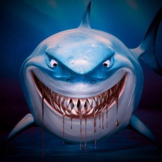 Telegram profile photo for Shark betting