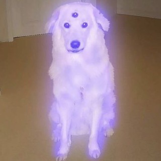 Telegram profile photo for Illusion CTO Portal