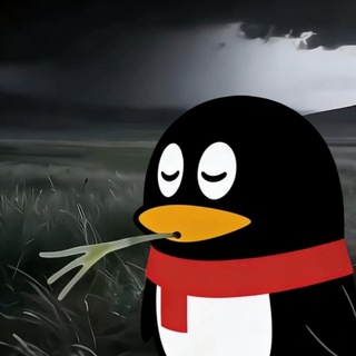 Telegram profile photo for 姆籽财经集团