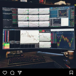 Telegram profile photo for Forex Knights