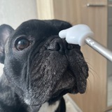 Telegram profile photo for вацок 2