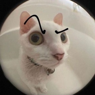 Telegram profile photo for Bratishkin Squad