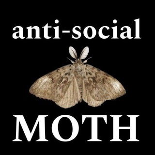 Telegram profile photo for Мотылёк из бездны