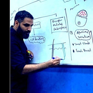 Telegram profile photo for د.أحمد بالحاج 5ANA
