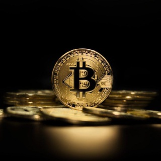 Telegram profile photo for 🎯HIGH PROFIT 🎯