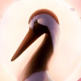 Telegram profile photo for 🪽 Shinju Hakutsuru\Шинджу Хакуцуру • 16+