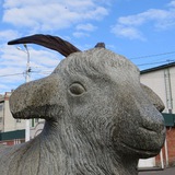 Telegram profile photo for Дело было в Урюпинске
