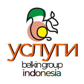 Telegram profile photo for Belkin Group Услуги на Бали