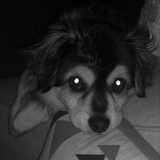 Telegram profile photo for raf's archives