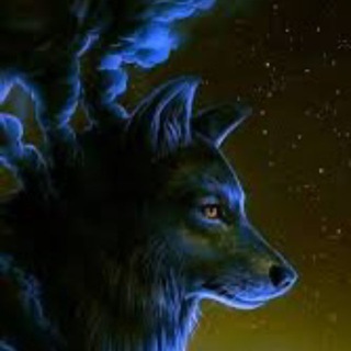 Telegram profile photo for Kayle ccv ! Sell ccv non all country