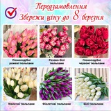 Telegram profile photo for Тюльпани в Києві
