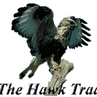 Telegram profile photo for theHawkTrader Antonio Lengua