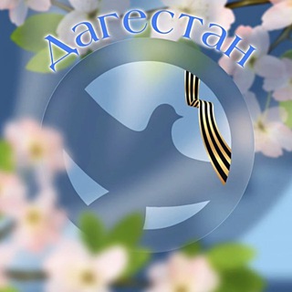 Telegram profile photo for Волонтеры Победы Дагестана