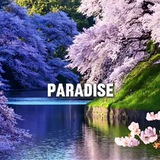 Telegram profile photo for Asian Paradise 🛸 туры
