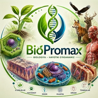 Telegram profile photo for BioProMax