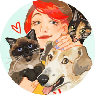 Telegram profile photo for How to be Meow