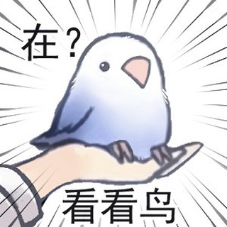 Telegram profile photo for Bardos News