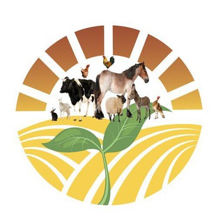 Telegram profile photo for مجله کشاورزی و دامپروری ایران