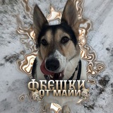 Telegram profile photo for ɸбᴇɯᴋи ᴏᴛ ʍᴀйи