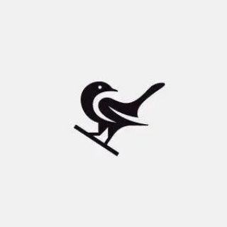 Telegram profile photo for 小鸟☁️-全球网络代理