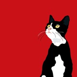 Telegram profile photo for Мир кошек