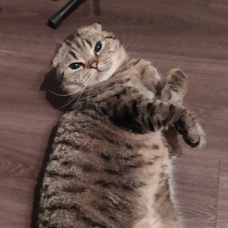 Telegram profile photo for Булка не каждый день