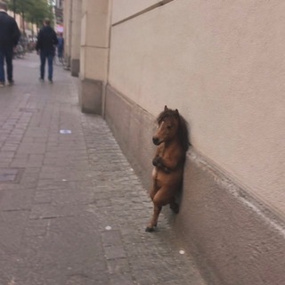 Telegram profile photo for юляша