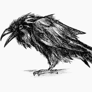 Telegram profile photo for Мистический Кёниг и города 🇷🇺
