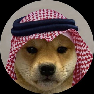 Telegram profile photo for dogwifsaudihat