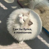 Telegram profile photo for Булочка с корицей
