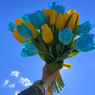 Telegram profile photo for Україна Переможе!!!💙💛