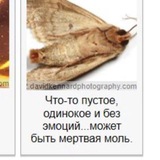 Telegram profile photo for переходник