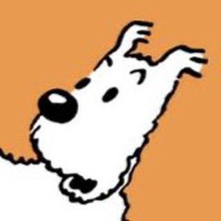 Telegram profile photo for Gulkj