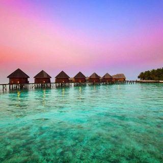 Telegram profile photo for Туры на Мальдивы 🇲🇻 Maldive