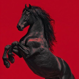 Telegram profile photo for مُهرة حُــــرَّة