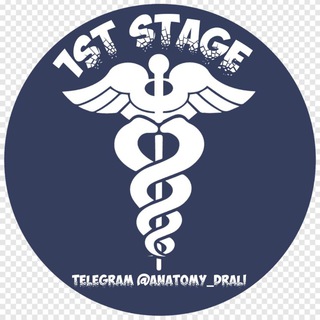 Telegram profile photo for 1st Stage