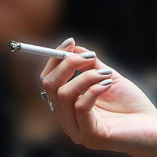 Telegram profile photo for تکست