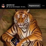 Telegram profile photo for Газавоз