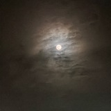 Telegram profile photo for Adapter