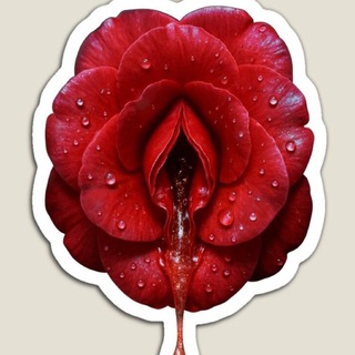 Telegram group profile photo for π Roses of Moscow π