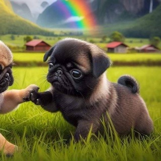 Telegram profile photo for ЗАКРЫТЫЙ ⳐⳐϜⲈ #SC