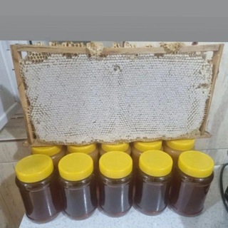 Telegram profile photo for ( خواص عسل ) (اشکورات گیلان )